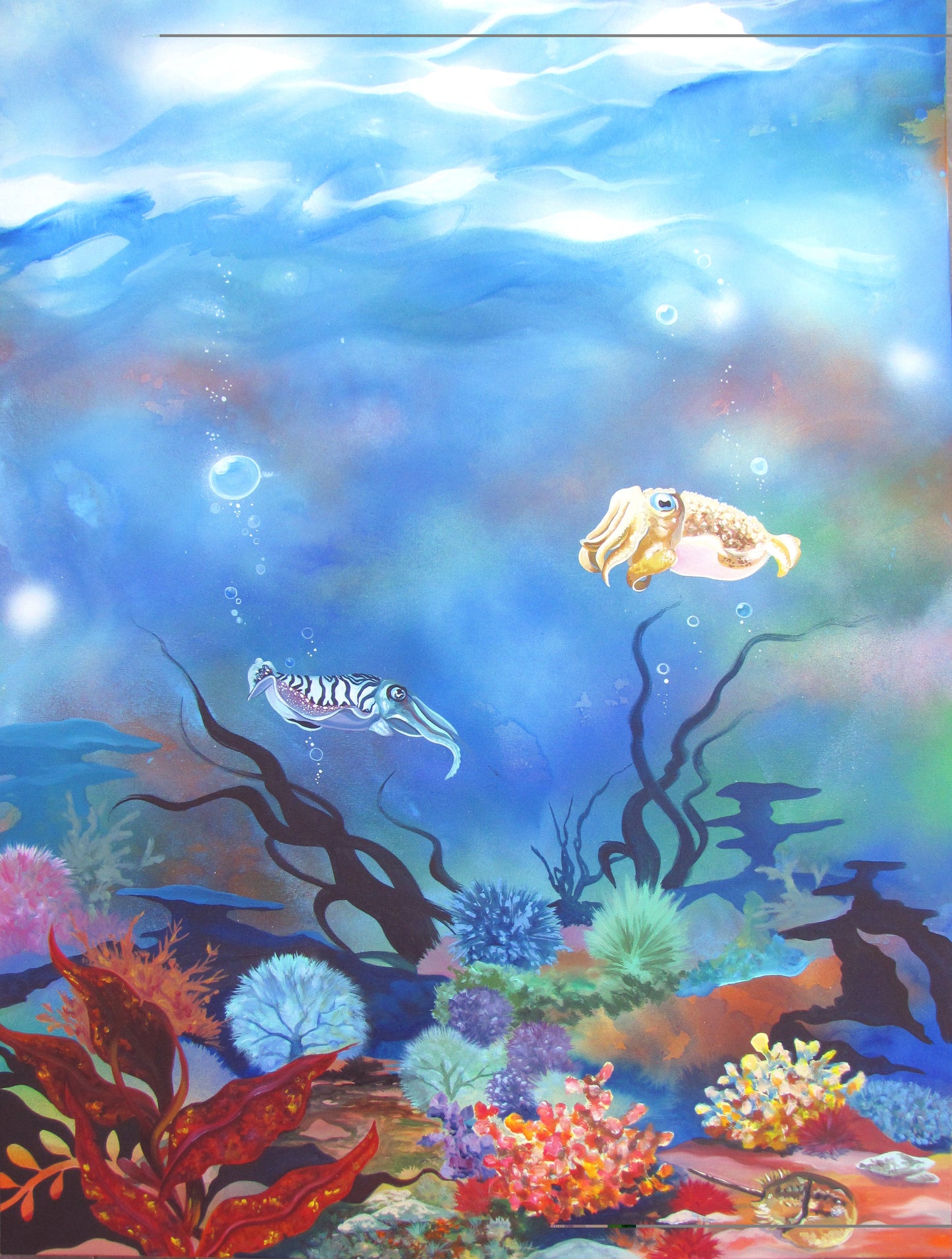 Cuttlefish MATTED PRINT